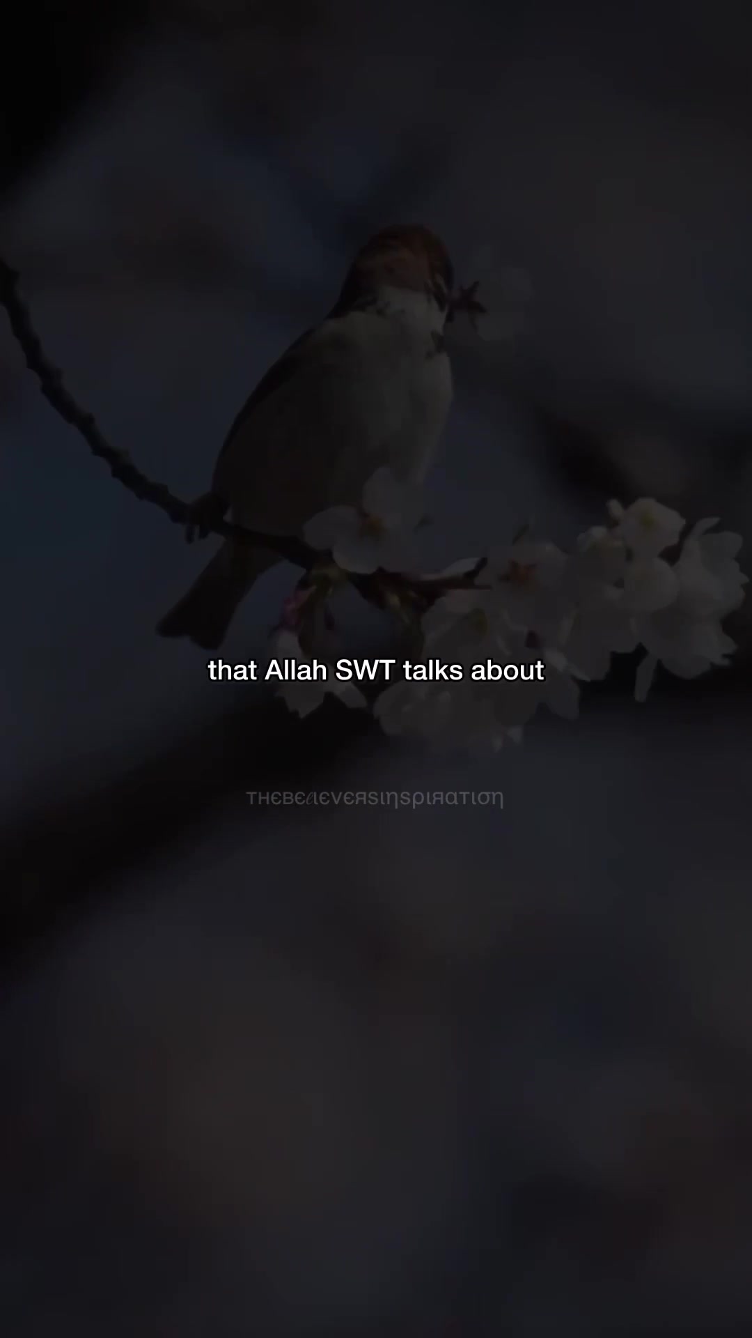 @🕋 𝐈𝐬𝐥𝐚𝐦𝐢𝐜 𝐃𝐚𝐰𝐚𝐡📖