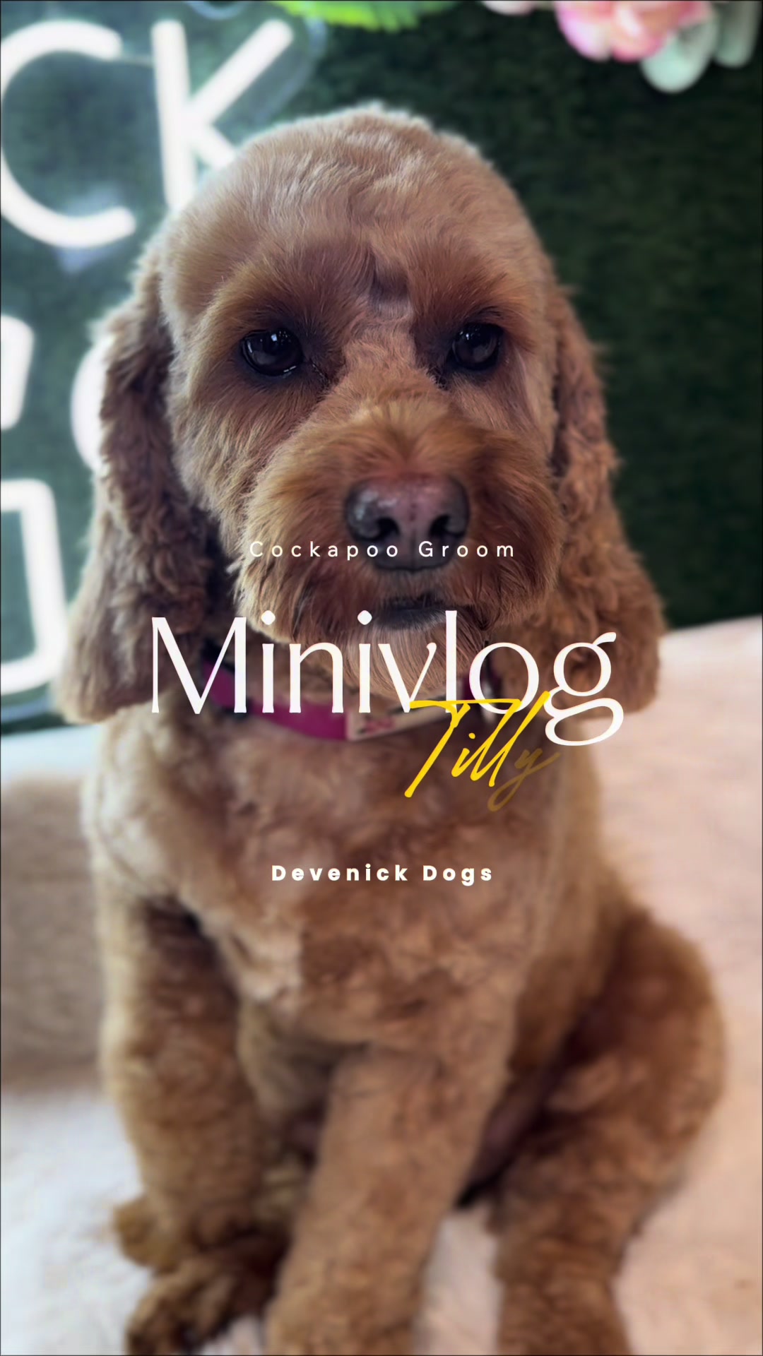 @DevenickDogs