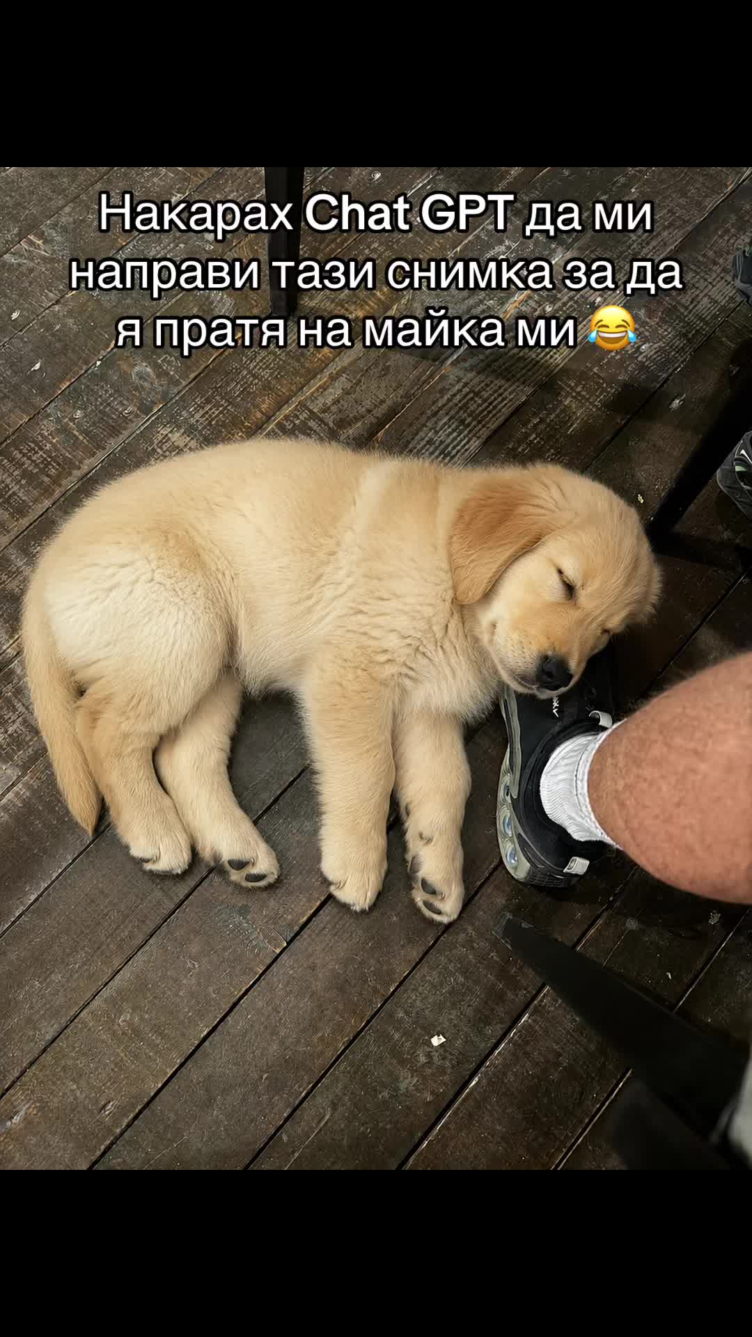 @niki_westa