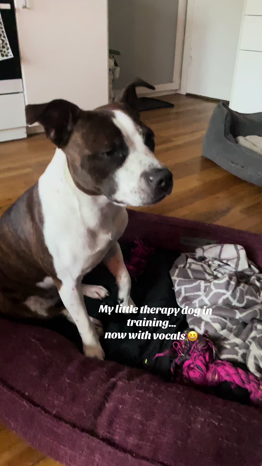 @Britney.paws🐾✨