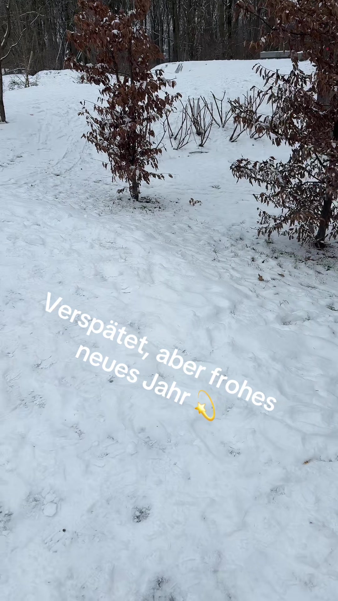 @SchwesterAlexa