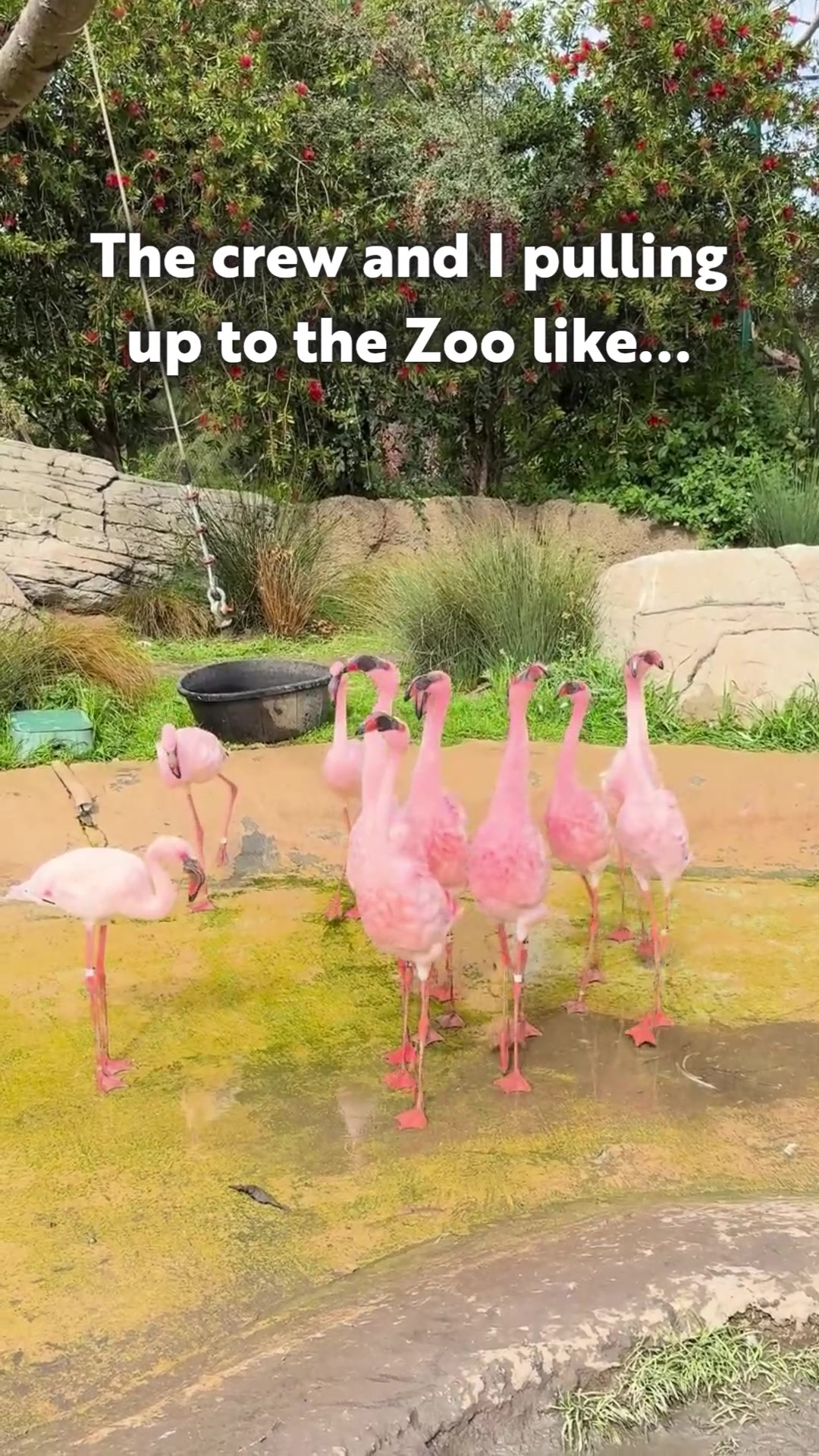 @Oakland Zoo