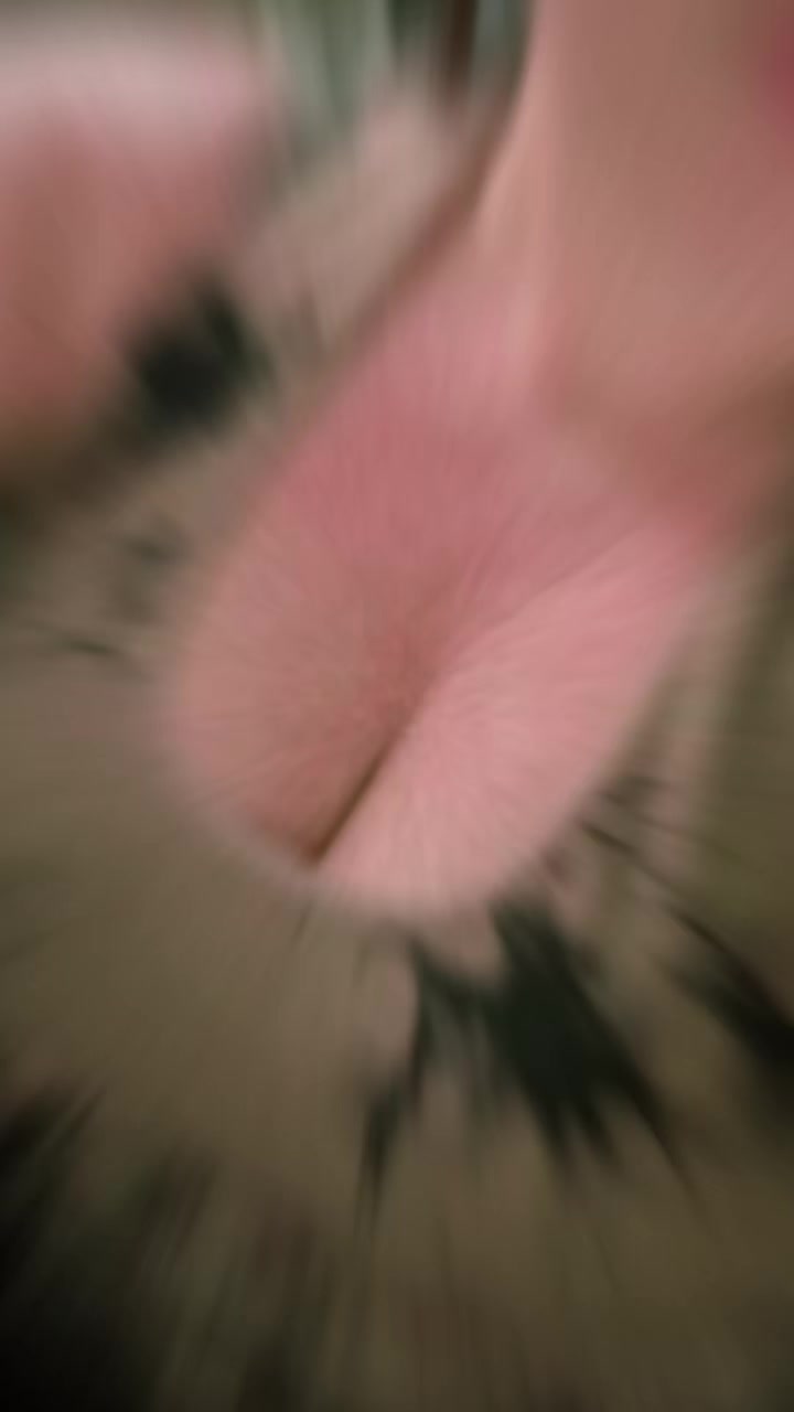 @๐ฆ๐ฆ โ๏ธ