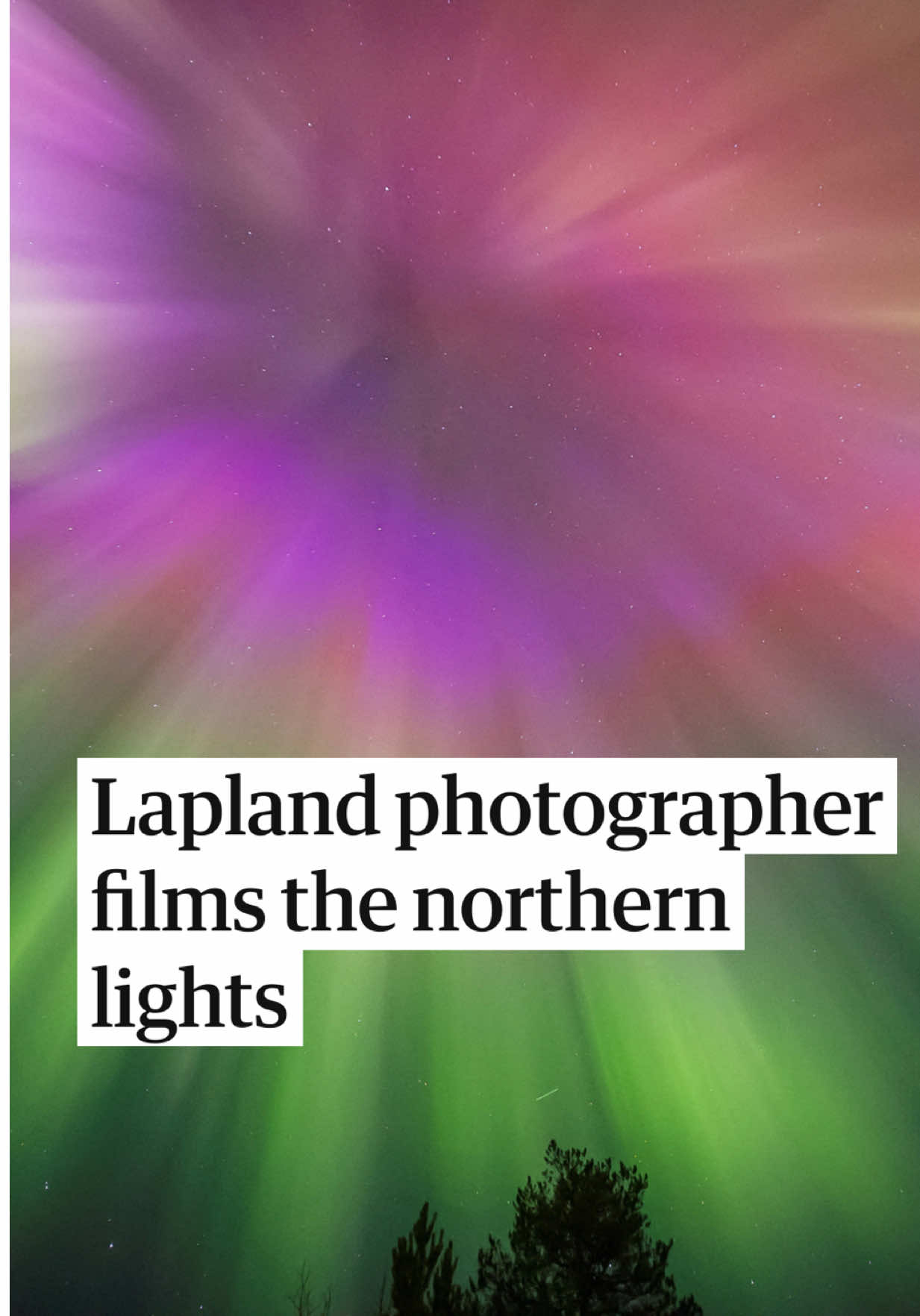 @The Guardian