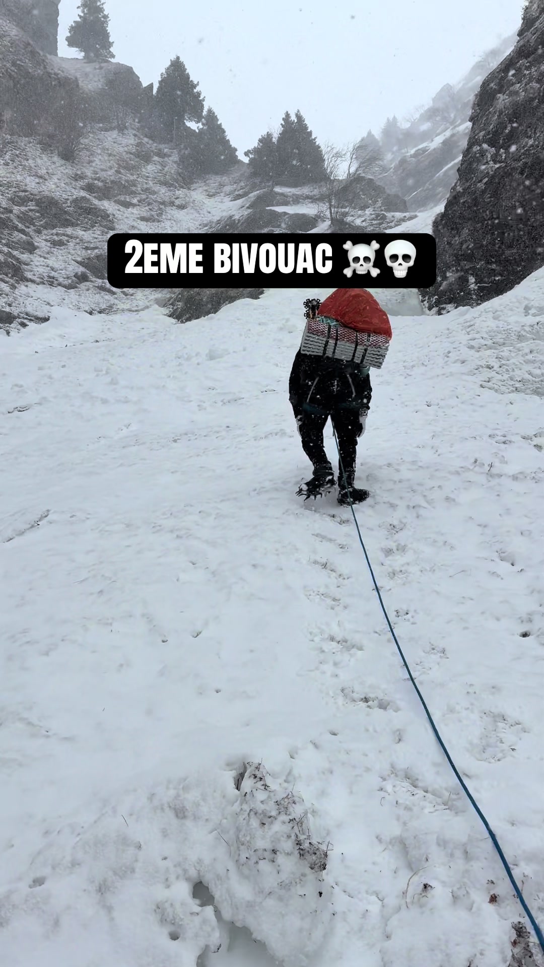 @Cassandre