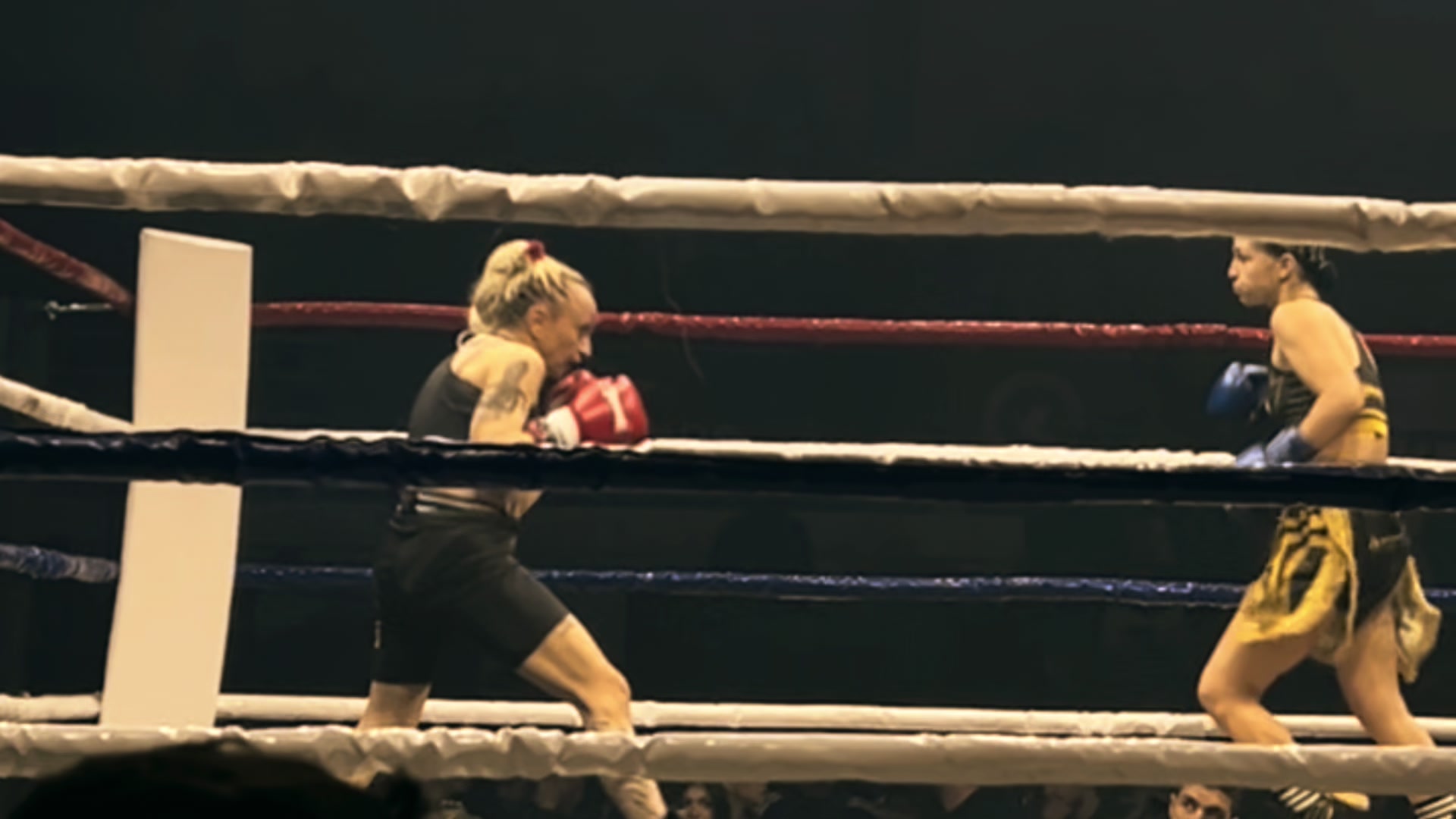 @AnnaMaria_trifilli🥊