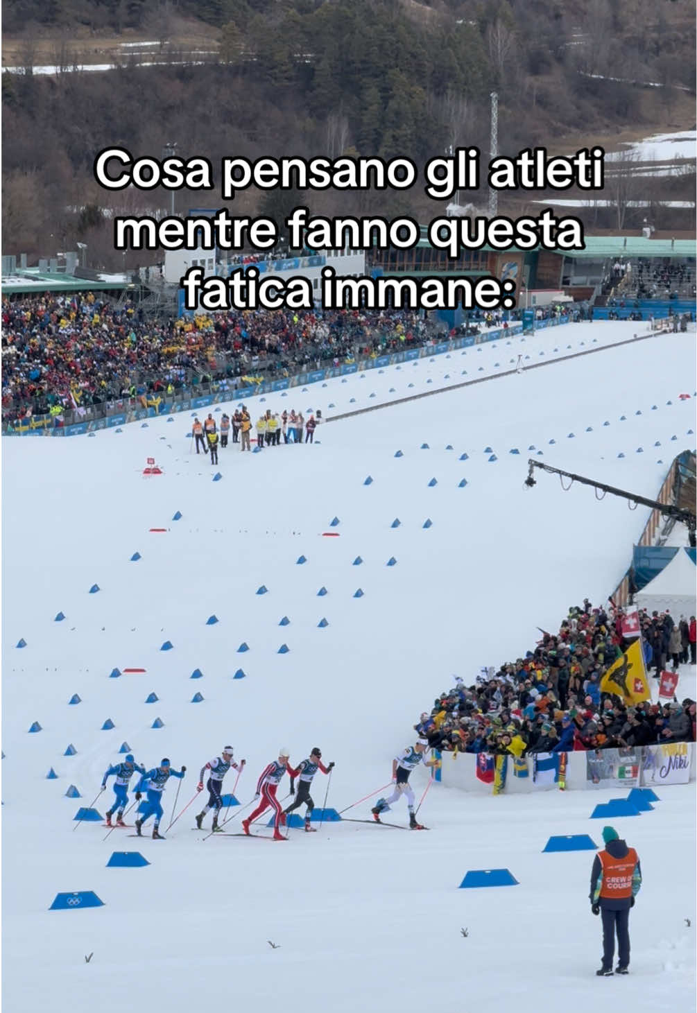 @Alessandra Mariani