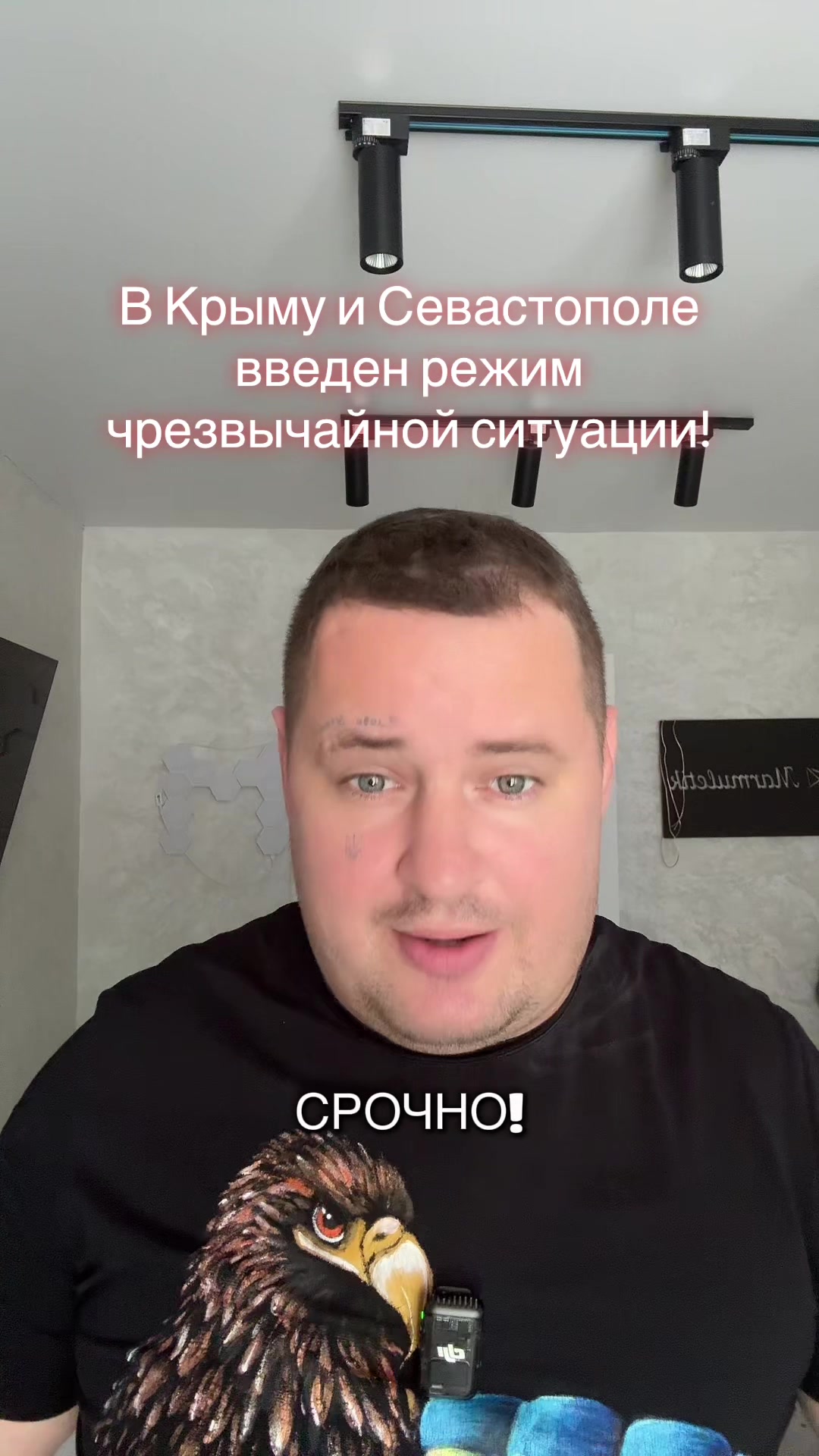 @marmuletik