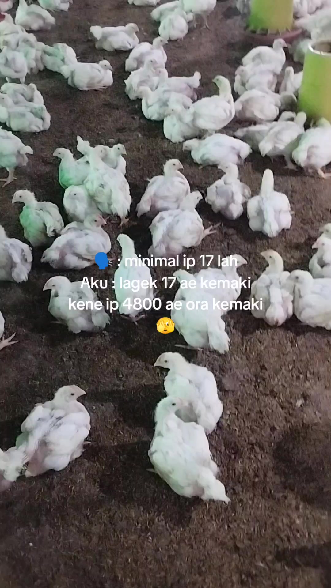 @Jojok