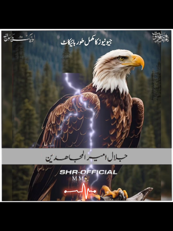 @SHR - OFFICIAL