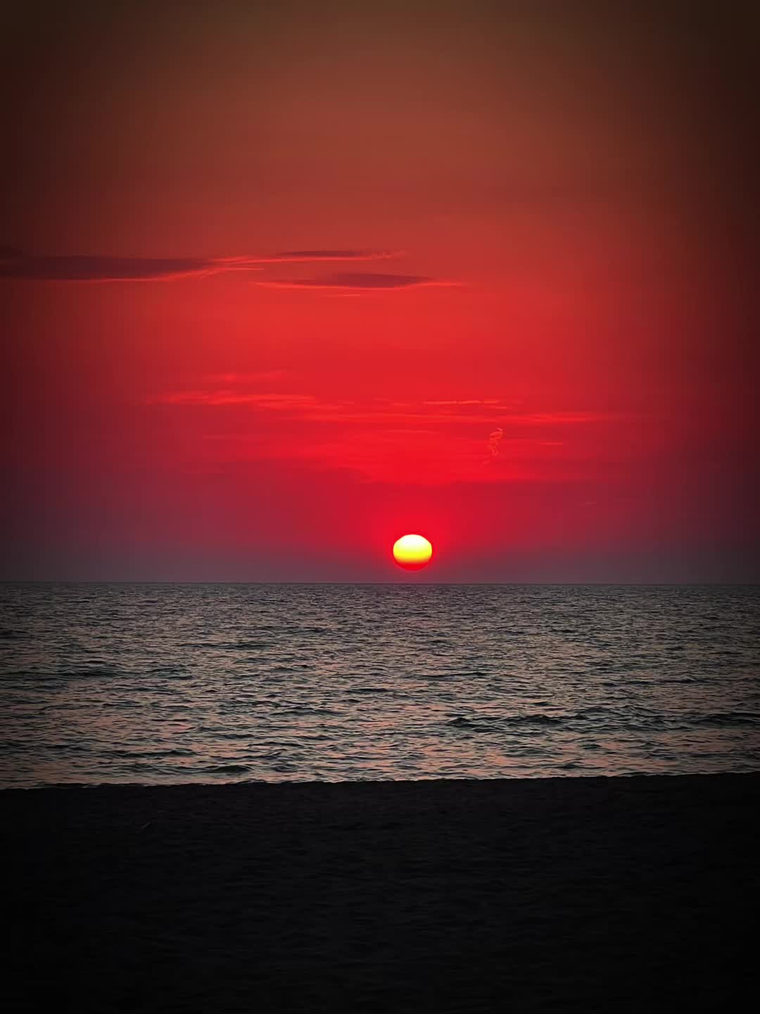 @eufy86