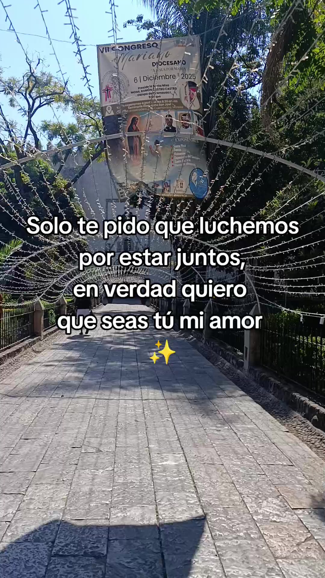 @Leslie DommWall