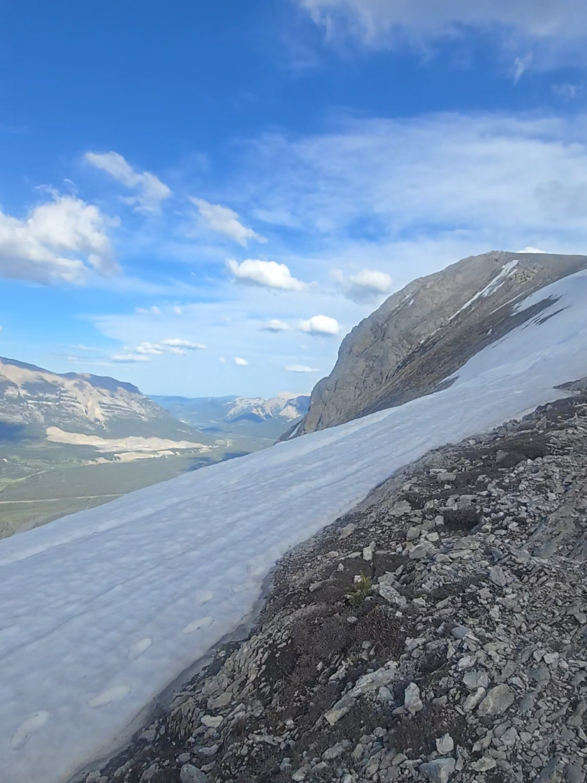 @Banff Trail Runing & Wildlife