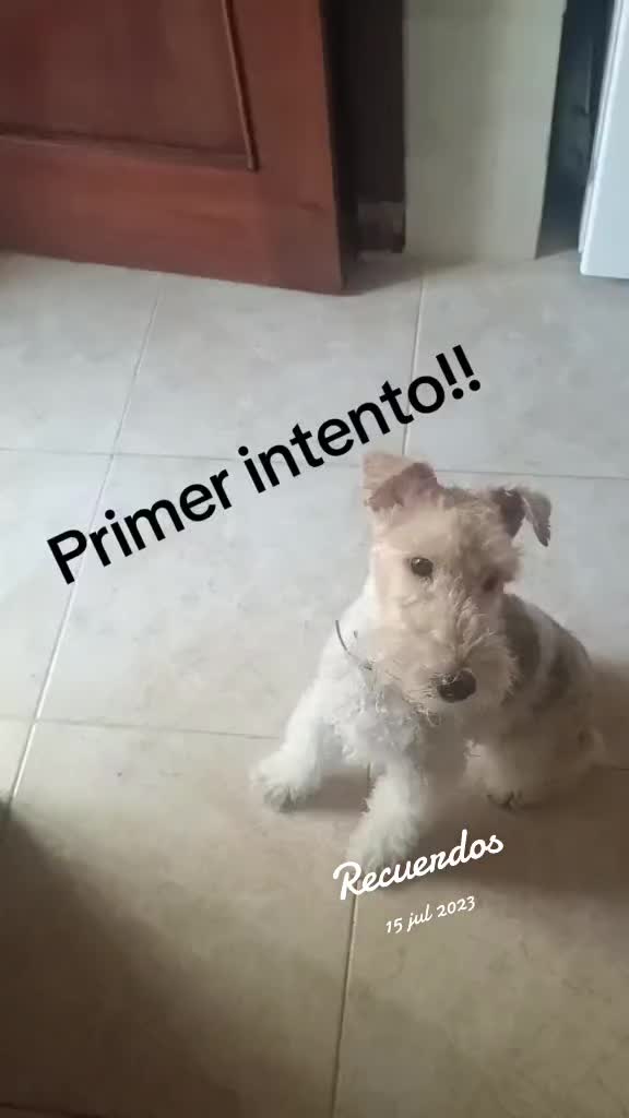 @Inma Gil