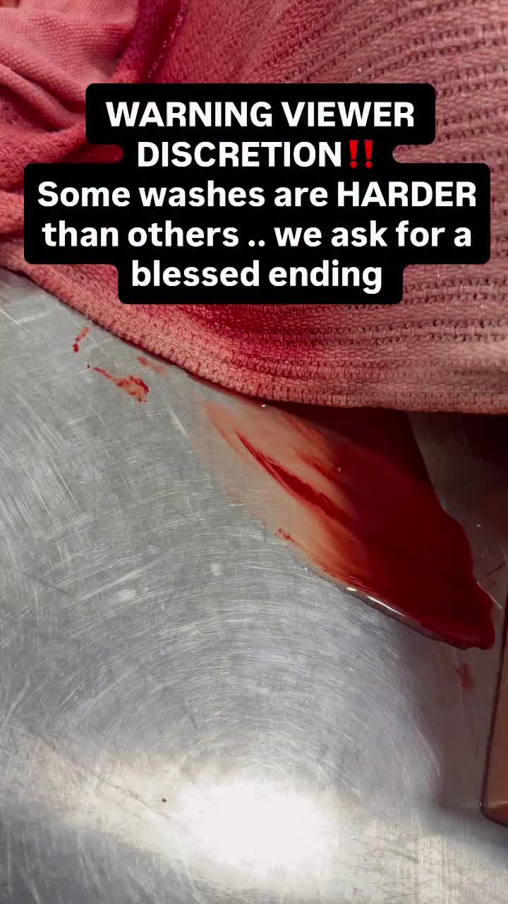 @qaimdinsultan