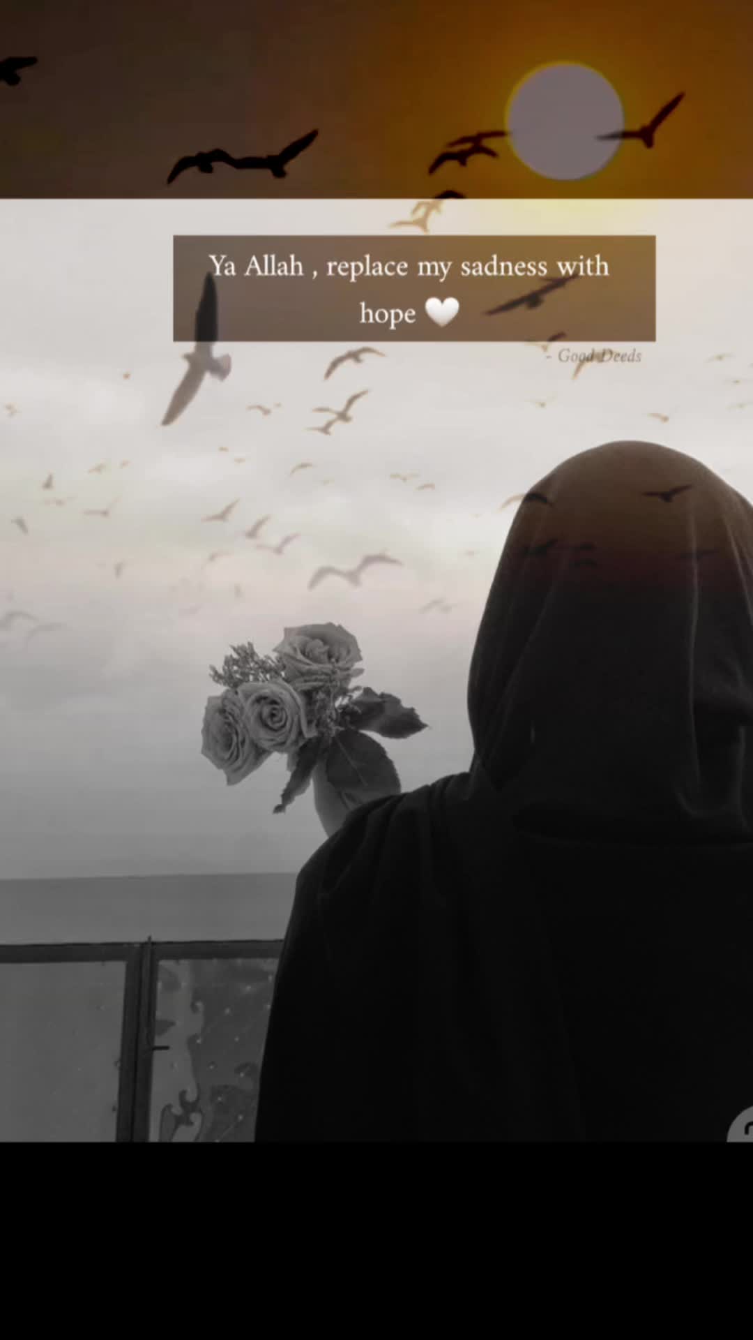 @Mahenoor_786