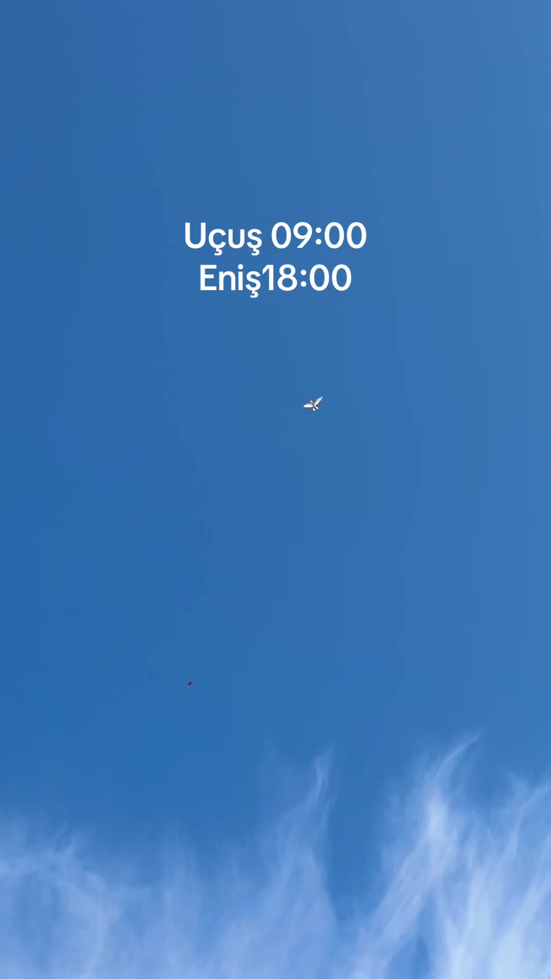 @Kamal_Agayev