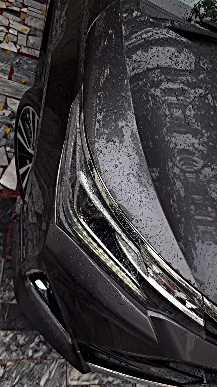 @𝐇𝐀🦇
