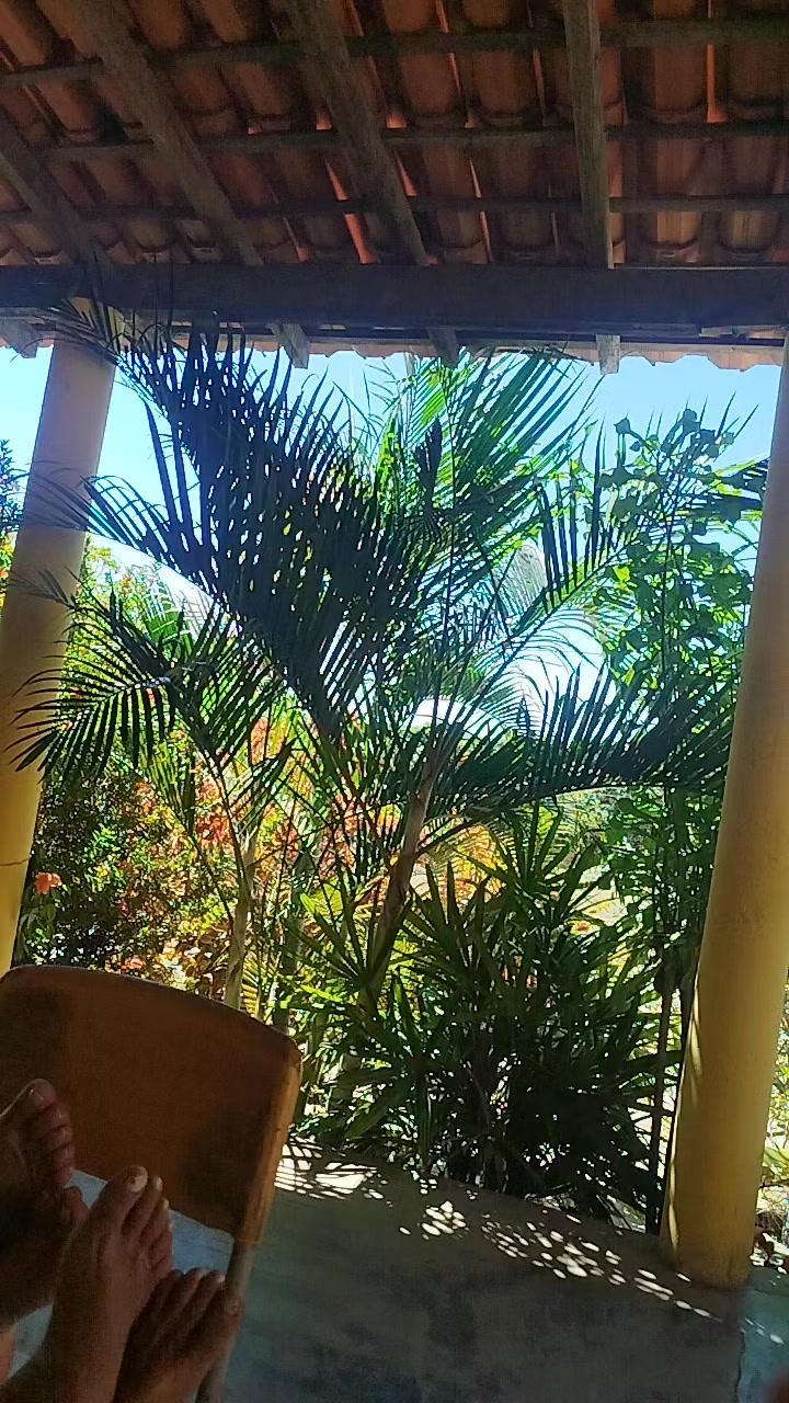 @Rosa De Sá