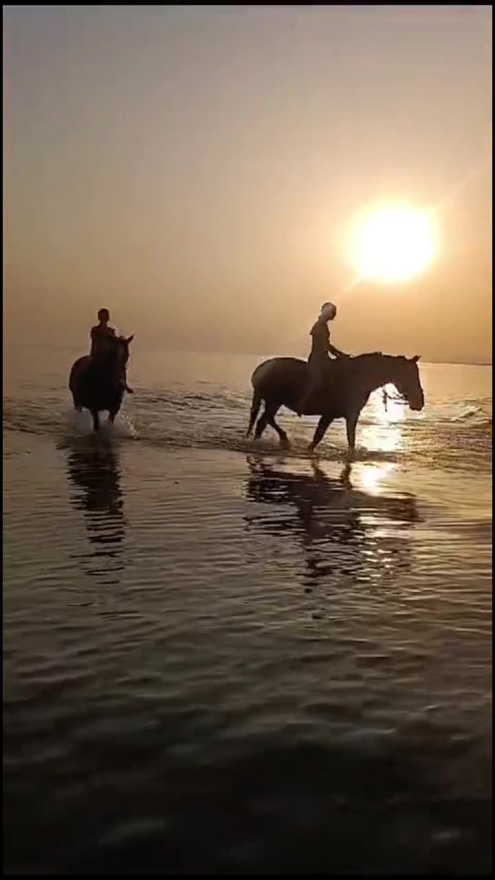 @м&iota;&alpha; 🐴💛