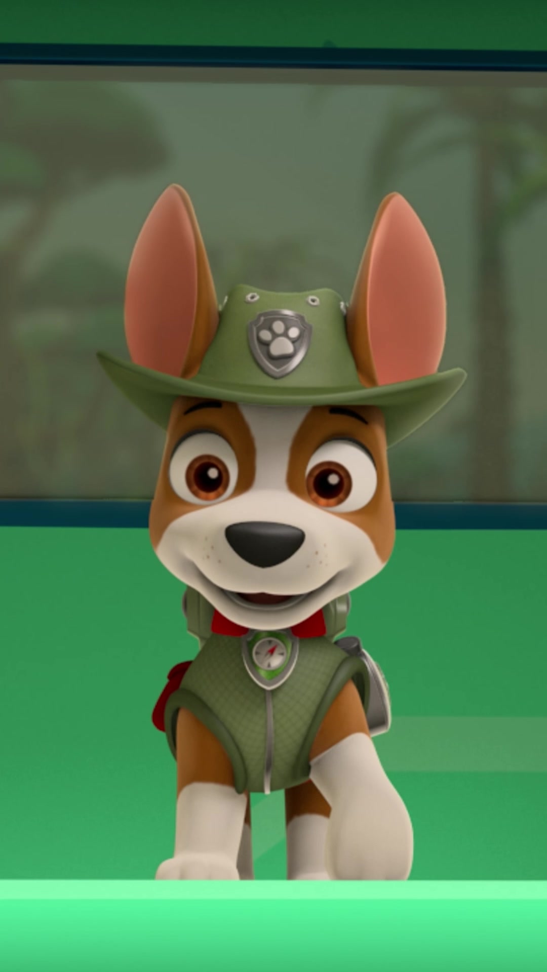 @pawpatrol