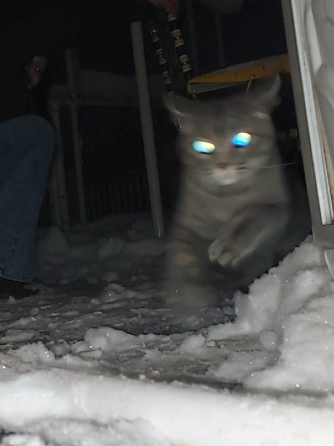 @Satan Kitty