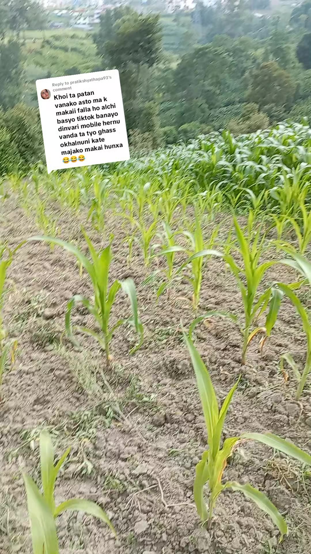 @sangita thapa