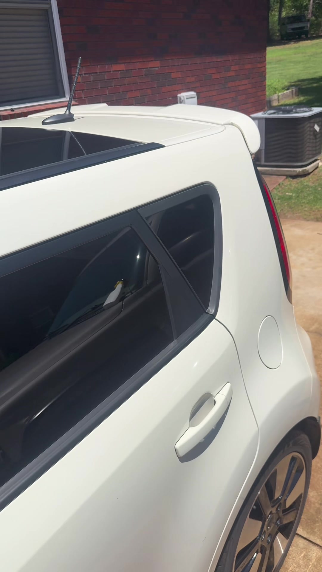 @Top&ensp;Dog&ensp;Detailing