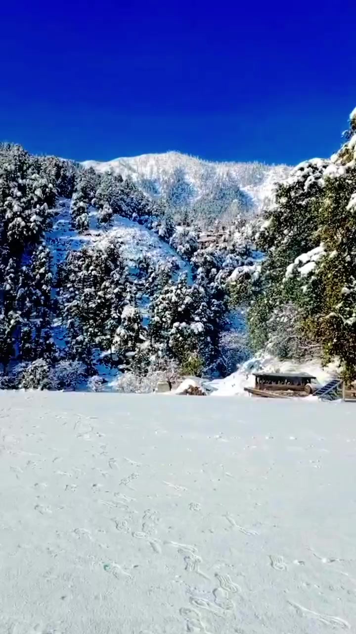 @🌲غر سنے 🌲