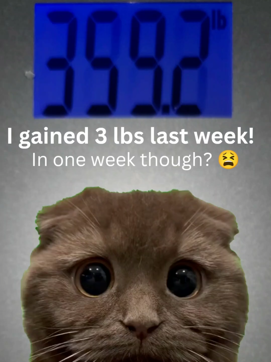 @Cornbread and Cardio
