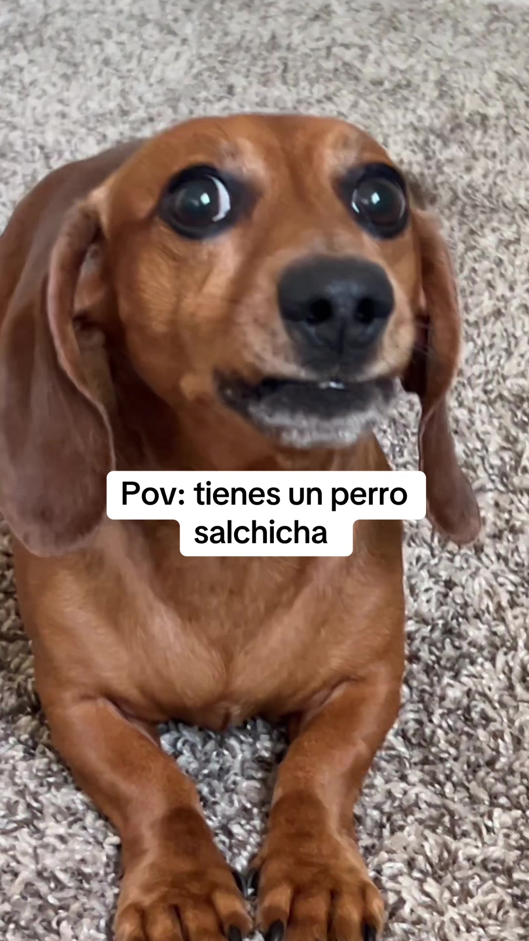 @Slinky Severus-Doo