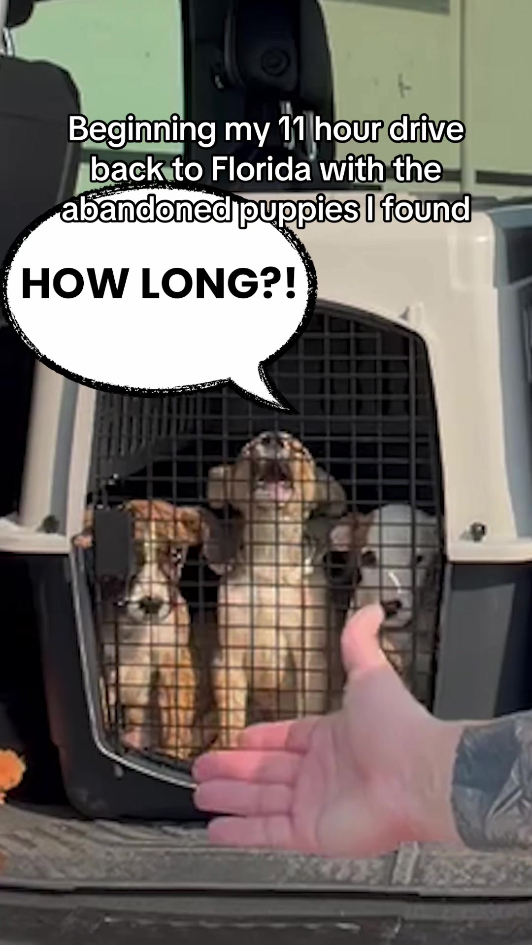 @brendonleslie