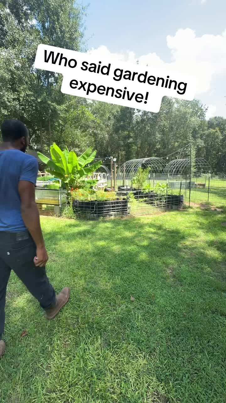 @RastaKountryDream