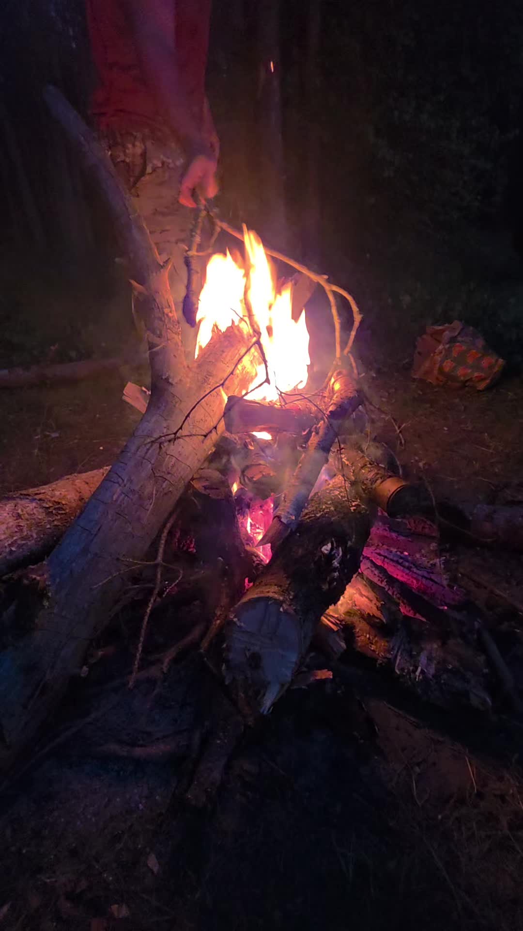 @Николай Гепардович