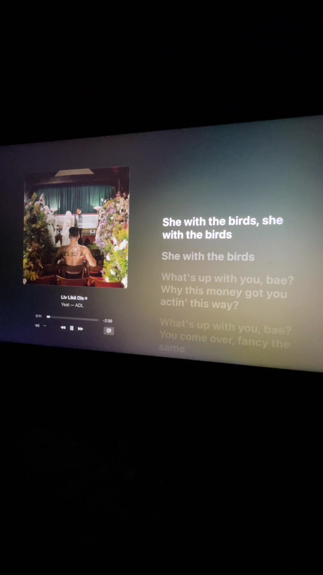 @msilaptoplyrics