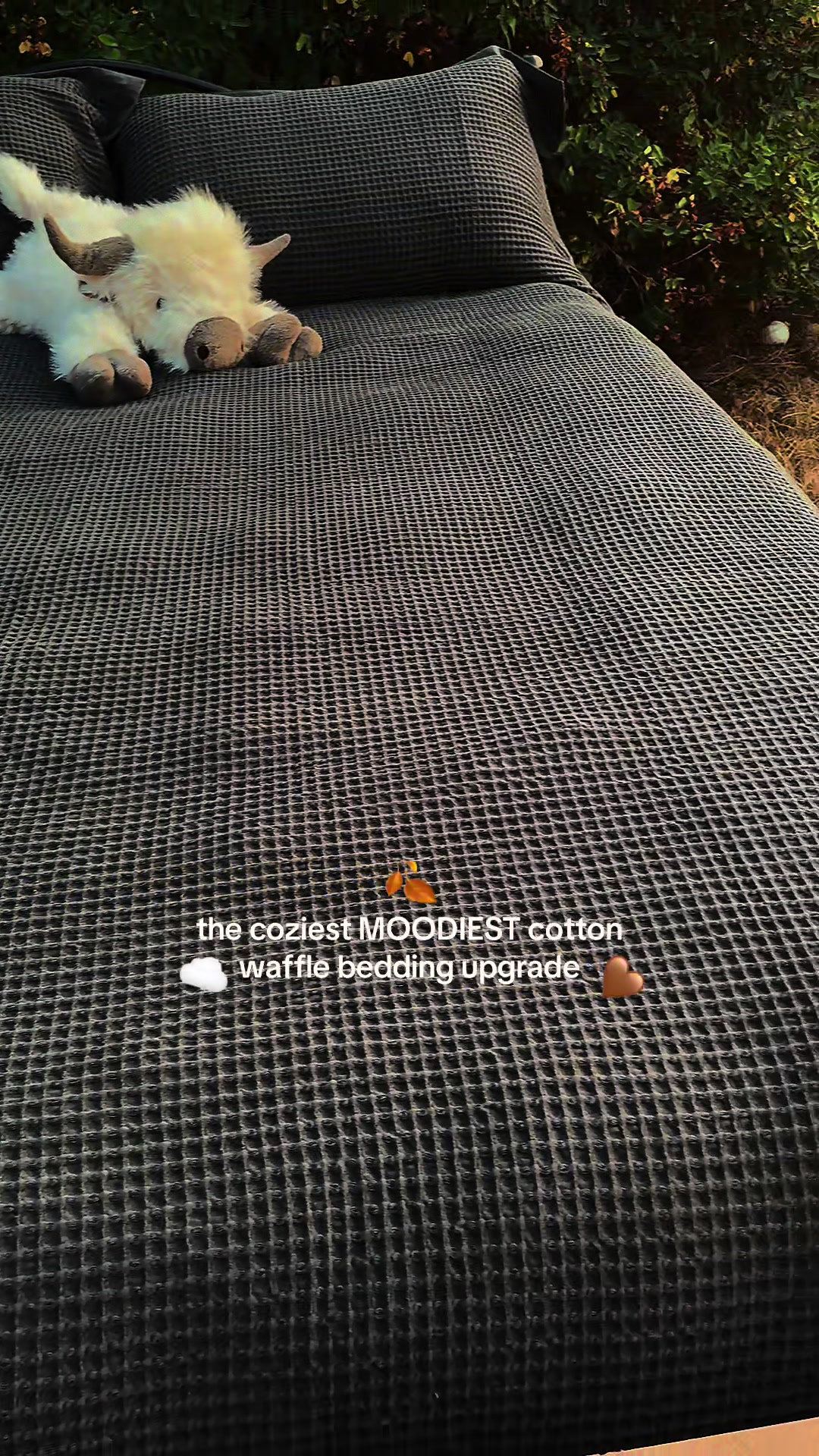 @kai•thedogmother🐾