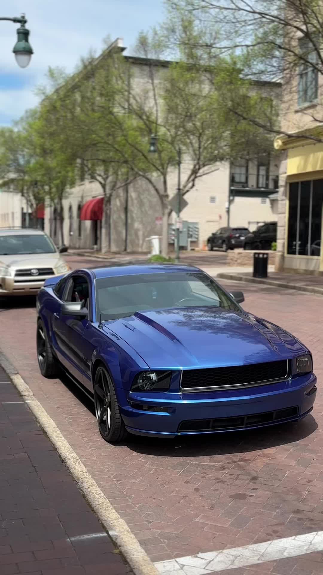 @Thatblutiful3v