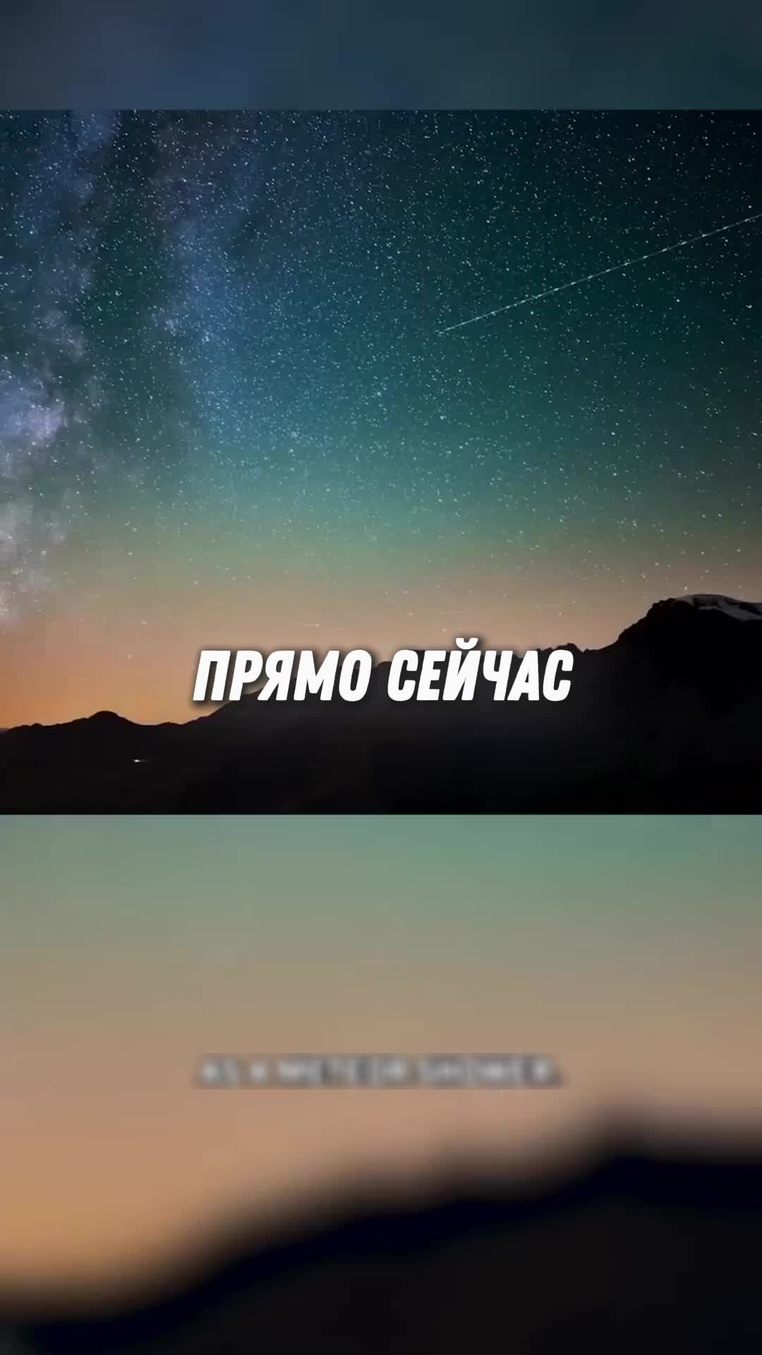 @markelov_facts