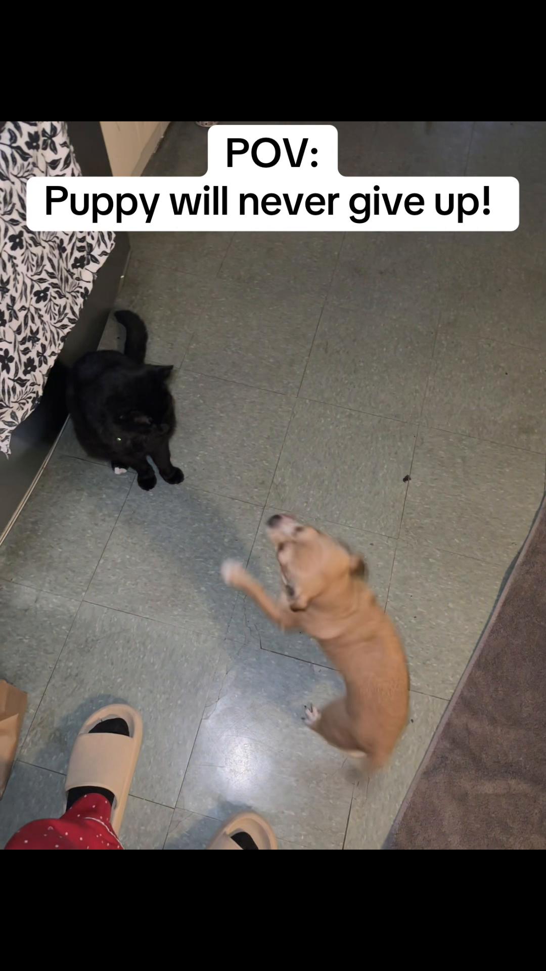 @Kathy’s spot