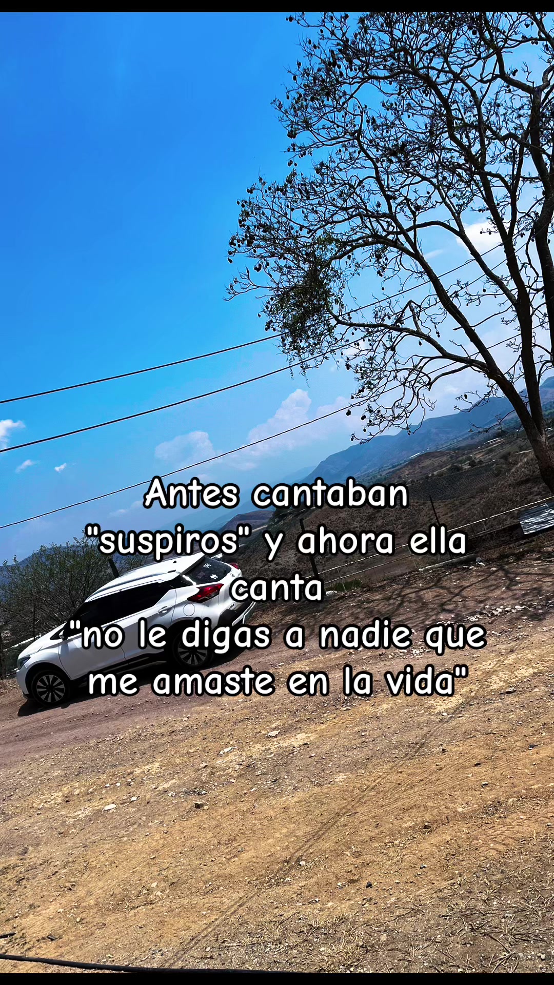 @🌻🌻Jael🌻🌻