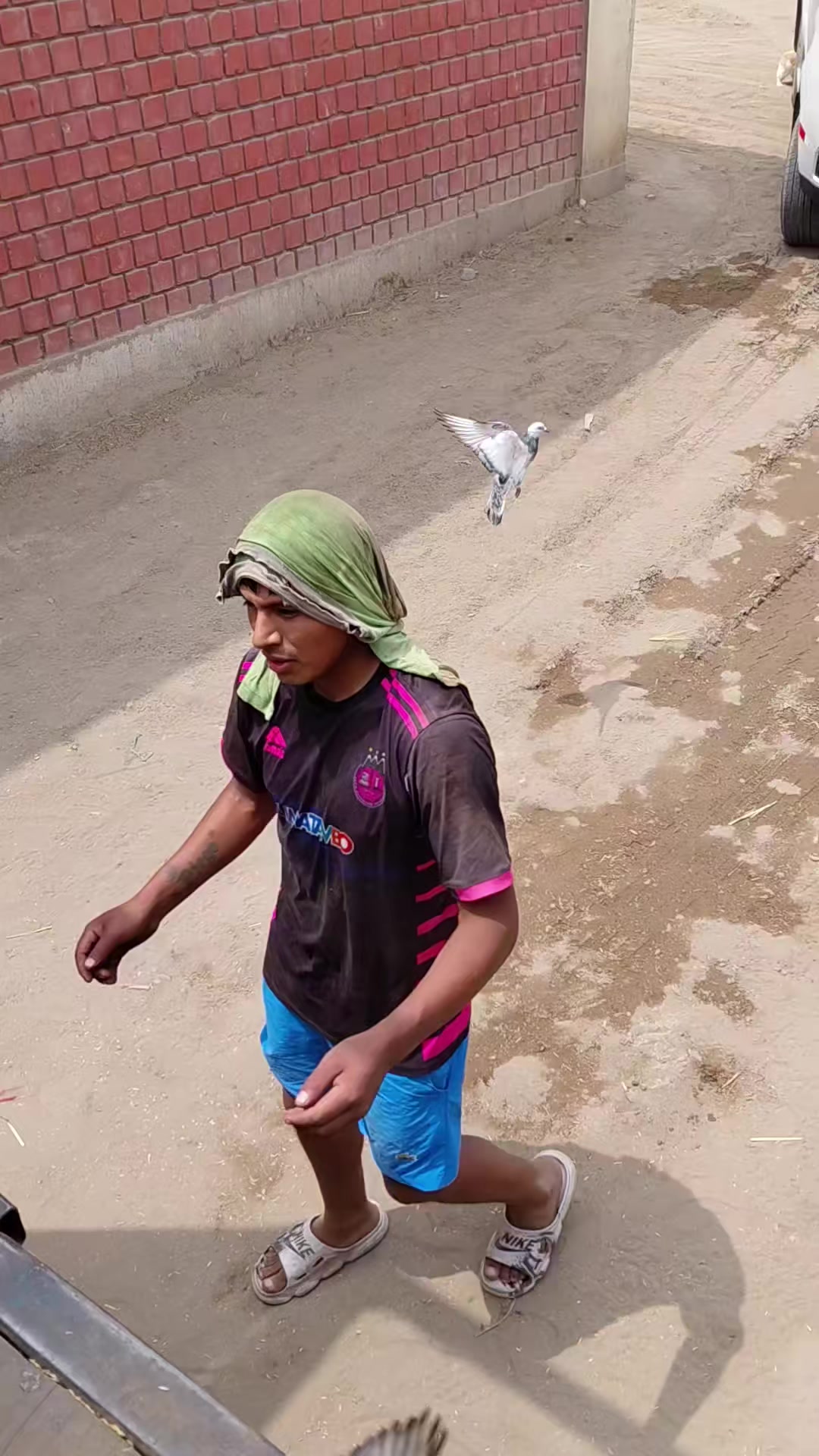 @🐬♦️𝗤𝘂𝗲𝘀𝗼_12_04_96♦️🐬