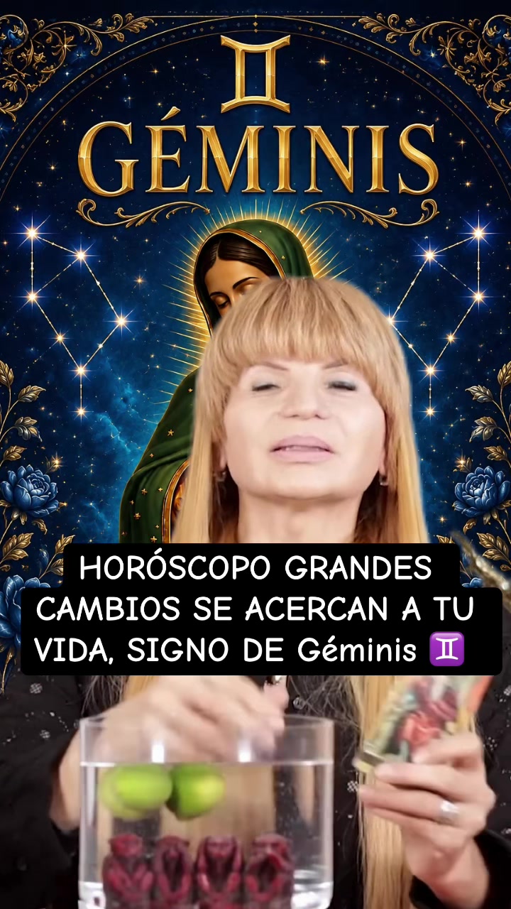 @✨ORÁCULO 13 ✨