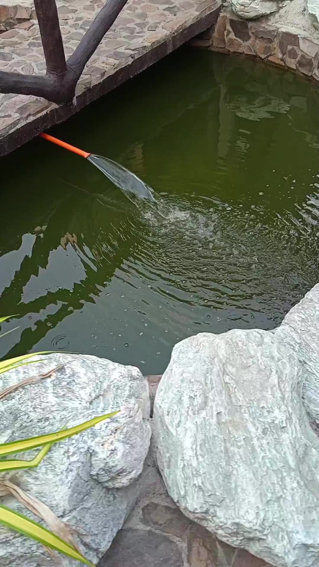 @🦜🐟G-spot🐍🦎