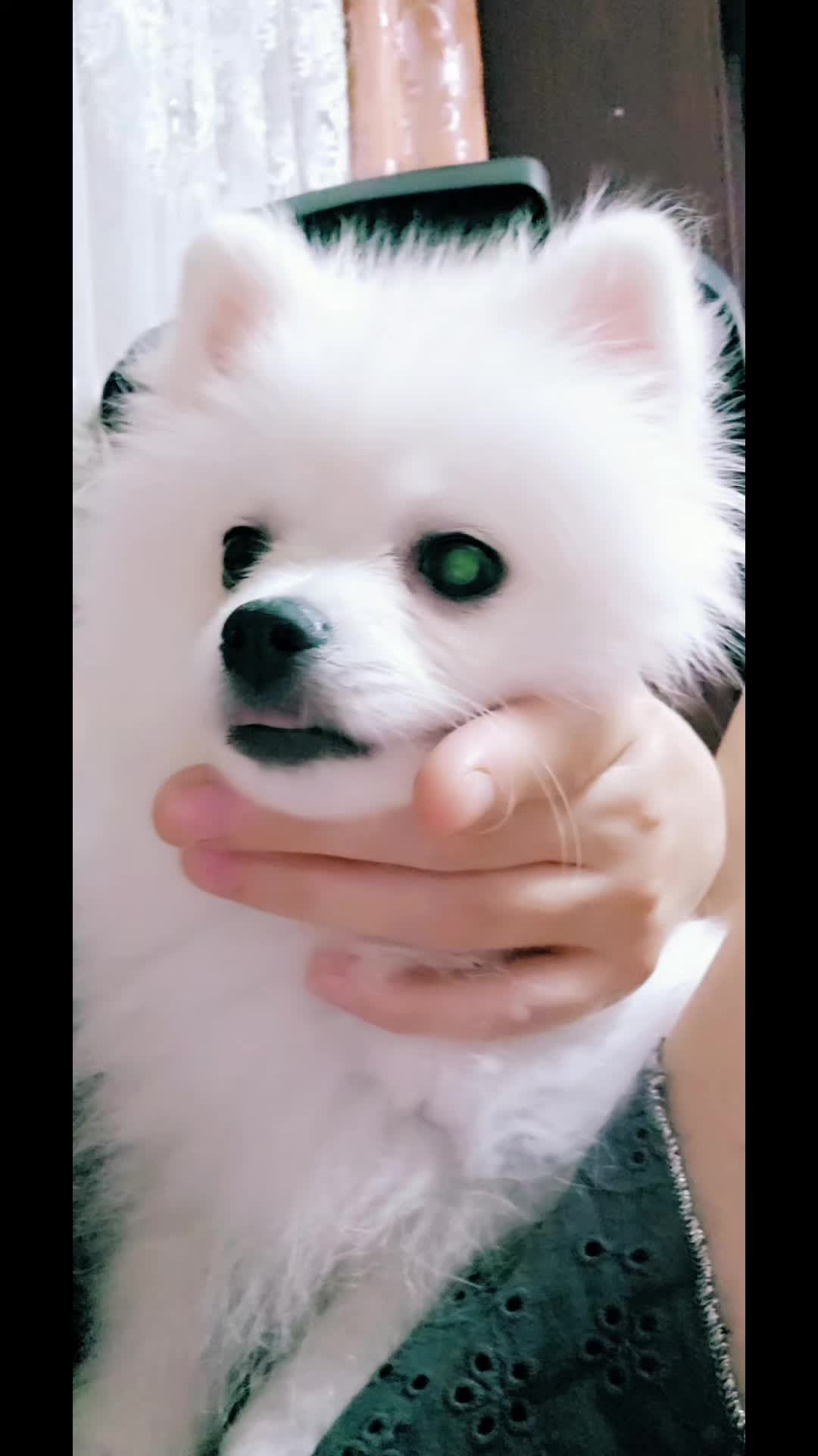 @Миронова Ольга Дима