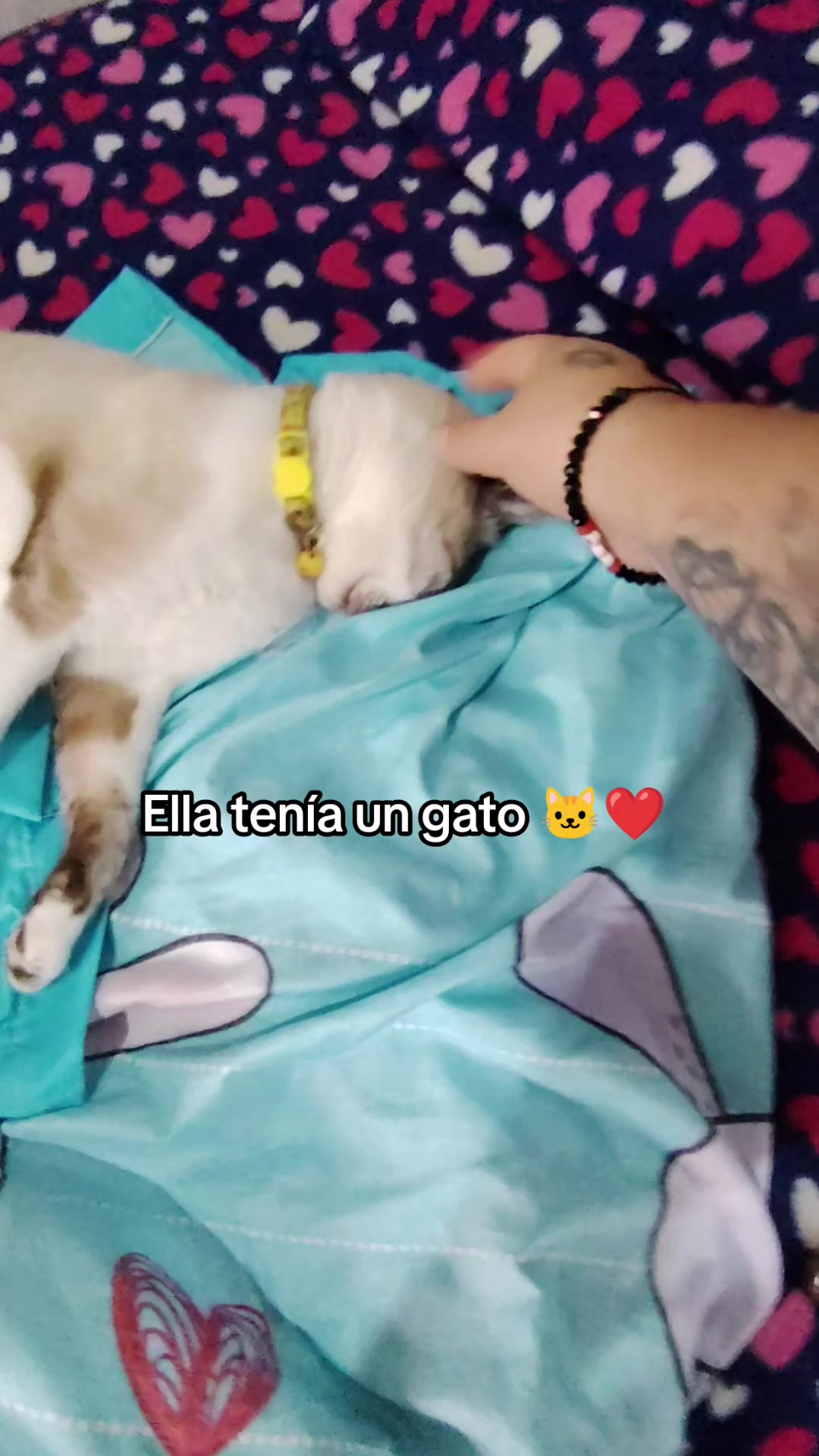@🌺kary🌺