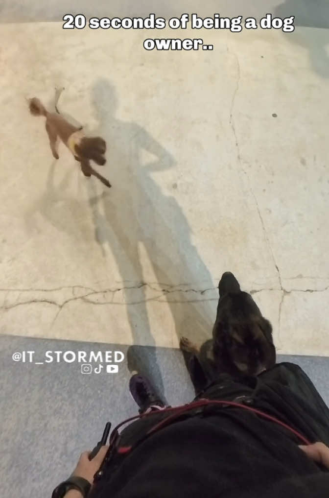 @it_stormed