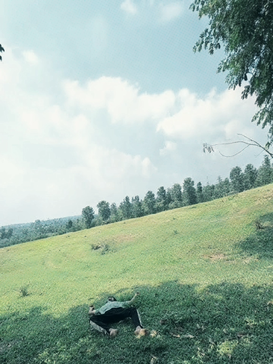 @X. M A S U D