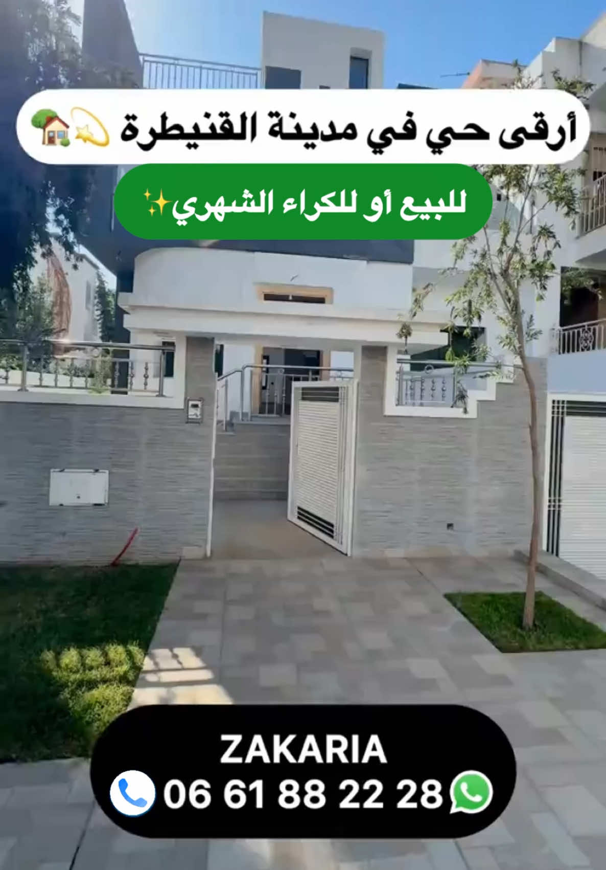 @Zakaria Haddad 🇲🇦🇵🇸