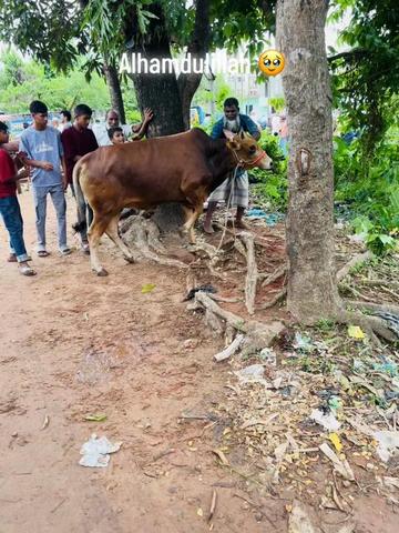 @M Asif Khan 🚩