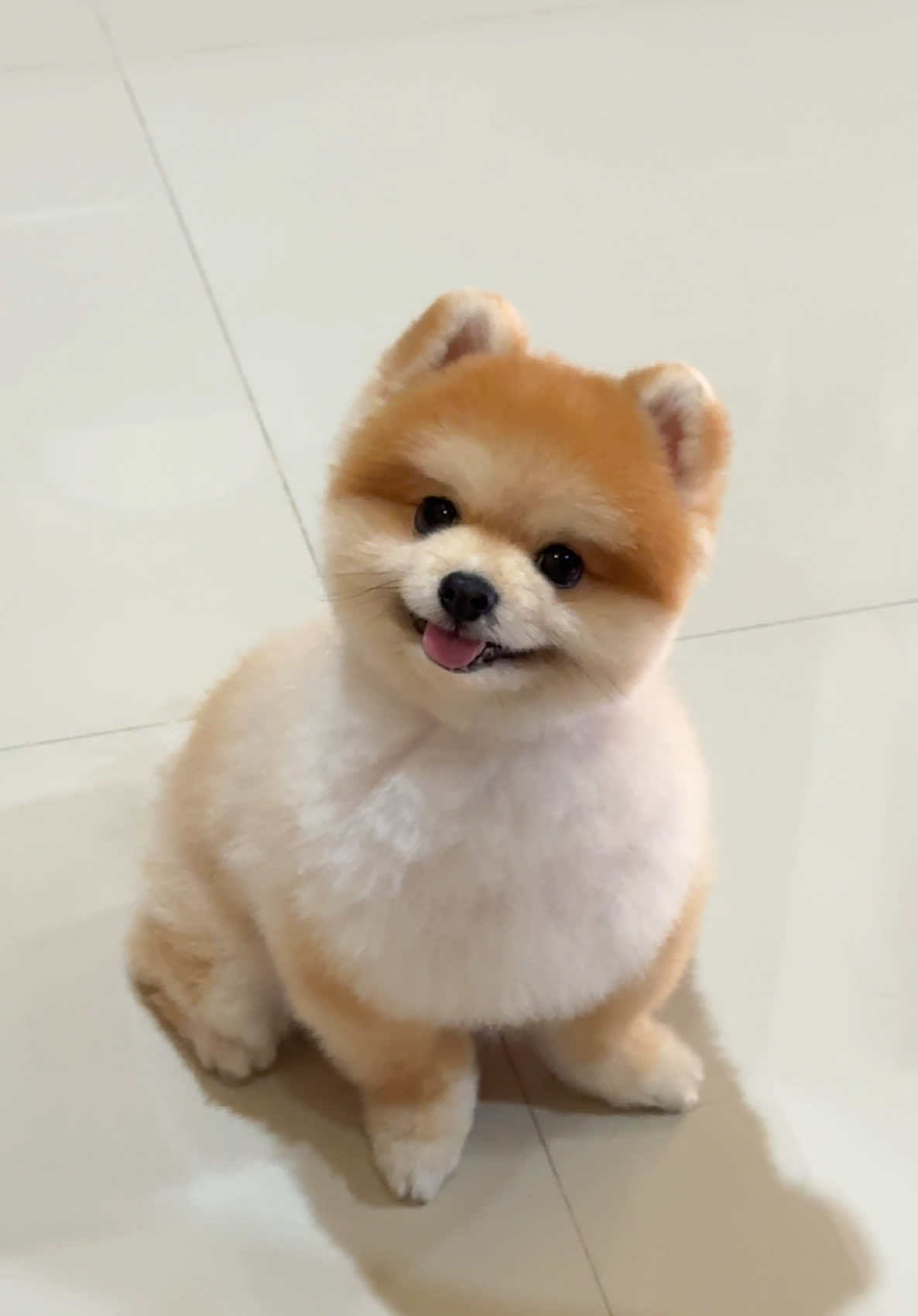 @Enzo